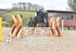 BPP_1076