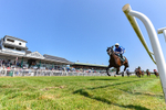 150726-Race 2-South West-3131