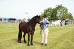 SBM_00659