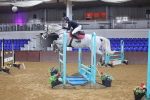 SBM_009040