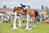 BPP_0734