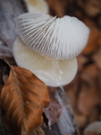 PB0400250049