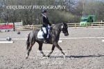 BPP_9530