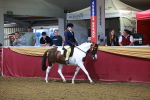 SBM_14889