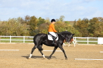 SBM_001114