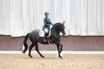 SBM_001031