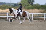 SBM_021050