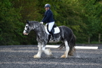 WJ5_9103