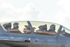 _J8A8028 copy