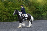 WJ5_8663
