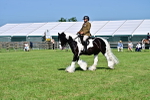 SBM_12180