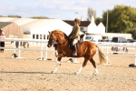 SBM_18263