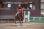 BPP_7442
