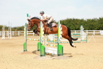 SBM_003540