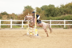 SBM_008415