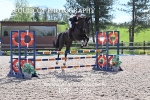 BPP_5536