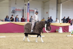 SBM_09883