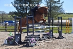 BPP_3170