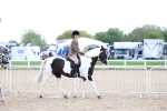 SBM_17080