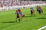 120725-Race 6-Terrorise-0496