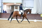 SBM_002933