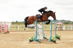 SBM_018161