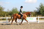 SBM_02194