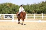 SBM_004133