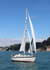 140729 SCOT FREE GBR1443T WT7A1826