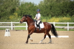 SBM_008798