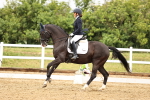 SBM_005290