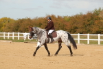 SBM_010413