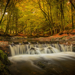 Stepping Stones, Tollymore Forest, Co Down
