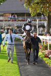 260724-Race 5-Verbier-5464
