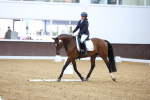 SBM_000938