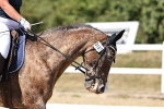 SBM_002635