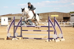SBM_007353