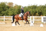 SBM_007597