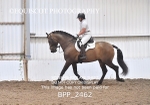 BPP_2462