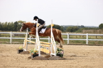 SBM_002908