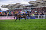 130326-Race 5-Gaelic Warrior-2653