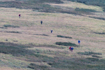 Matterdale-450