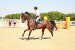 SBM_000911