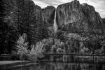 Yosemite Falls 15