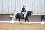 SBM_000334