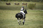 BVHT 140517  IXC -863