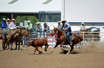 3HRodeo8-11-25_PRCASteer_07416_