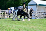 SBM_09303