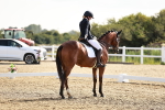 SBM_002462