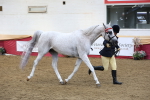 SBM_23639
